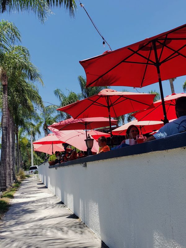 Pisces Rising, 239 W 4th Ave., Mount Dora, is one of Lake County's most scenic restaurants.