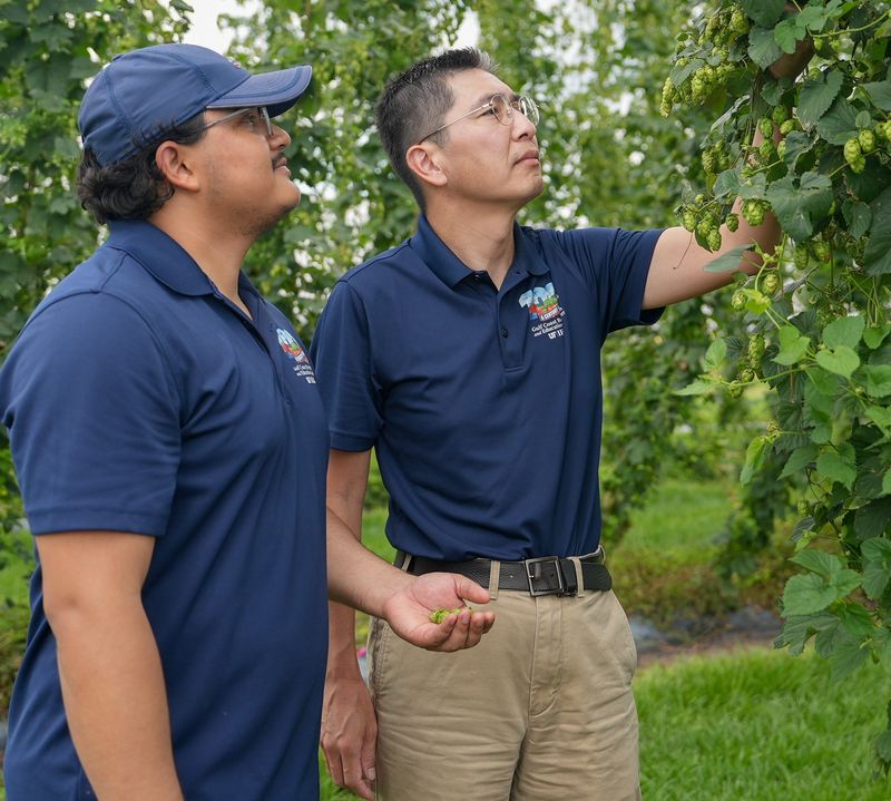 Doctoral student Alvaro Bautista, left, and Shinsuke Agehara, examine hops at the UF/IFAS Gulf Coast Research and Education Center.