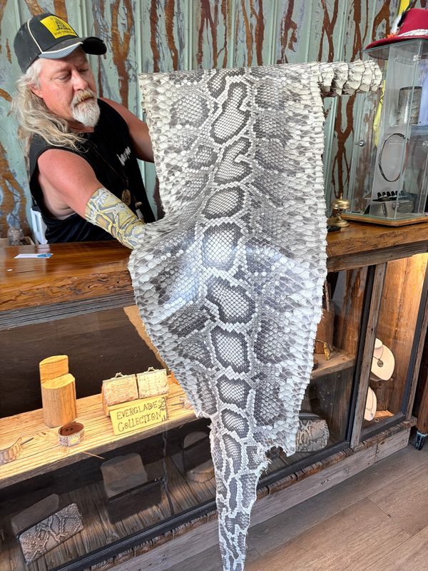 Dusty “Wildman” Crum, also known as the Python Hunter, turns his python skins into everything from wallets, purses and belts to seat covers for cars, chairs and barstools. He sells many of his wares at his Wildman’s Pizza restaurant in Everglades City, Florida.