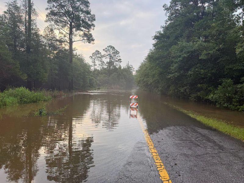 Flooding closed several roads in Santa Rosa County on Friday.