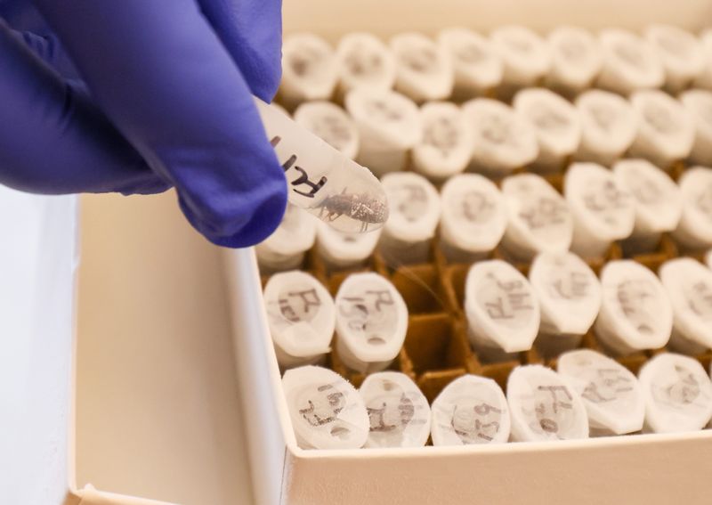Dr. Norman Beatty talks about stored samples of kissing bugs in the deep freeze in the Emerging Pathogens Institute lab in Gainesville, FL on Thursday, June 18, 2026. Beatty is part of the team that researches and treats rare and forgotten illness.  [Alan Youngblood/Gainesville Sun]