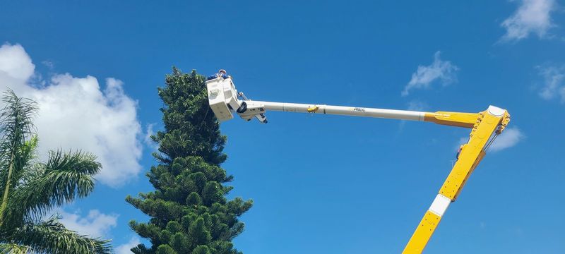 The von Arx Wildlife Hospital at the Conservancy of Southwest Florida announced on June 18 that a young Osprey rescued in early June after being tangled in fishing line was successfully rehabilitated and released.