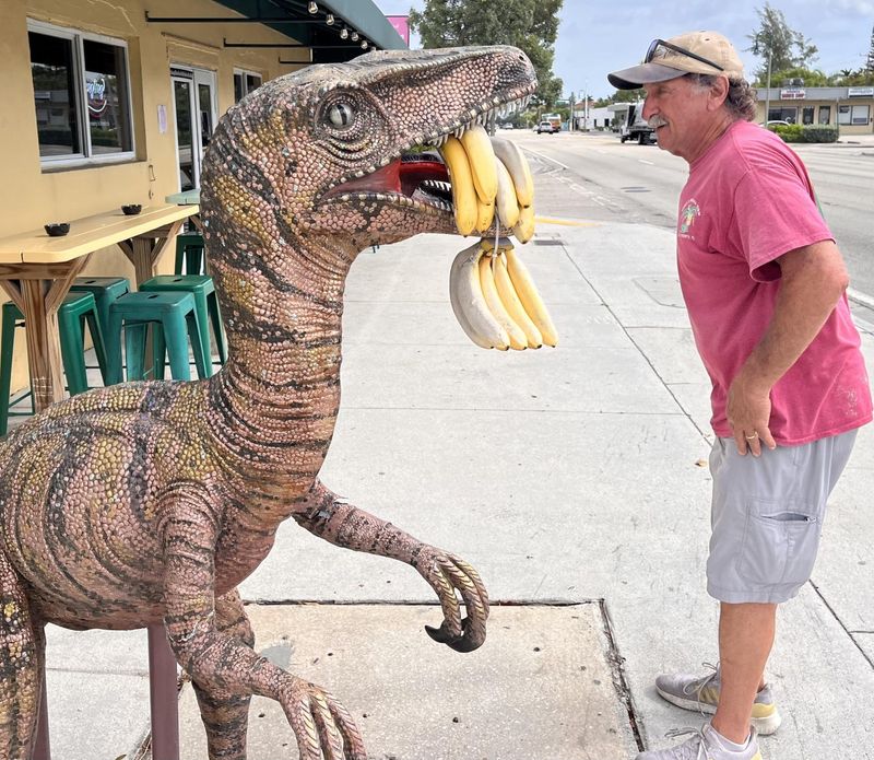 Harry's Banana Farm general manager Lou De Stout inspects his bar's velociraptor statue on June 25, 2026, in Lake Worth Beach.
