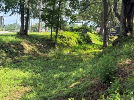 The original roadbed of Thomasville Road at the corner of Kerry Forest Parkway. The roadbed will soon be filled in as part of commercial development on the property.