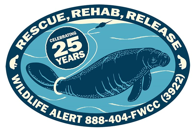 This year’s manatee decal commemorates 25 years of the Manatee Rescue & Rehabilitation Partnership.