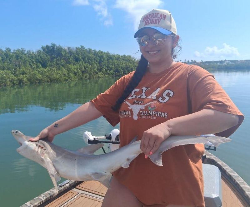 A bonnethead shark is a common nuisance catch for many locals, but if you're willing to put in the work, they're good eatin'.
