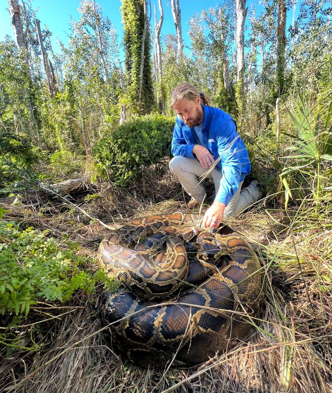 Ian Easterling is a biologist and member of the Conservancy of Florida's python team.