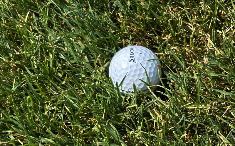 Stray ball at Lawrence Park Golf Club, July 19, 2026.