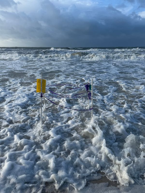 High tides sweeping in from Tropical Storm Bertha are flooding sea turtle nests on St. George Island, Tuesday, July 21, 2026.