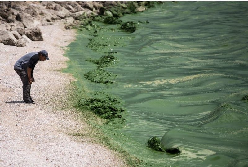 A 2018 toxic algae bloom in Lake Okeechobee.