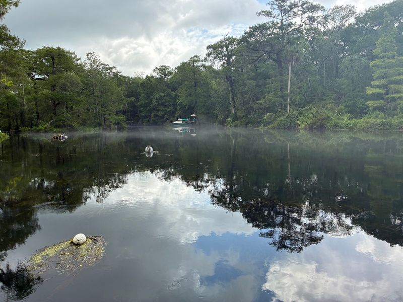 The view from the dock in the Mysterious Waters neighborhood swim area where John swims daily.  