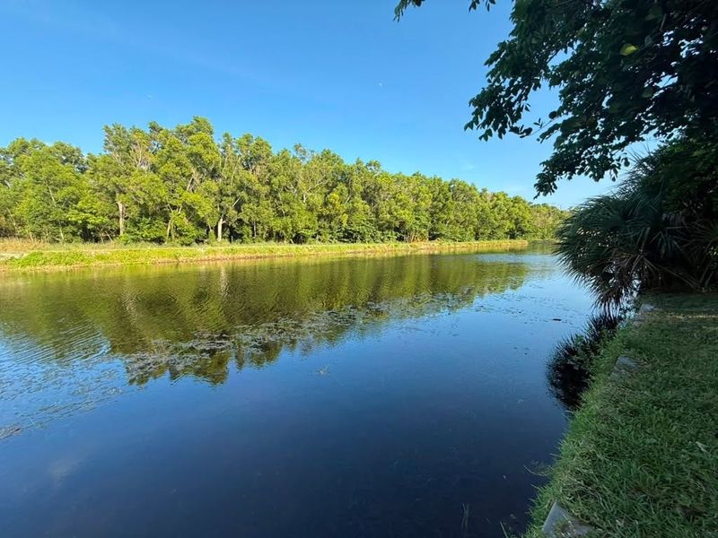 Wilderness and woods populate a nearly eight-acre patch of land east of Golf View Harbour in Boynton Beach, neighboring train tracks just west of Interstate 95, where the city wants to build a police training facility and shooting range.