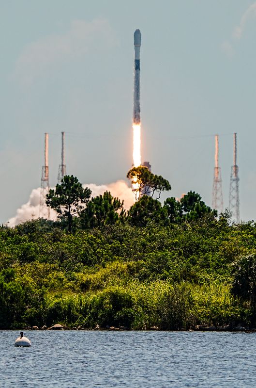 A SpaceX Falcon 9 rocket lifts off from Cape Canaveral Space Force Station August 11, 2026, carrying 29 Starlink satellites. Craig Bailey, FLORIDA TODAY via USA TODAY NETWORK
