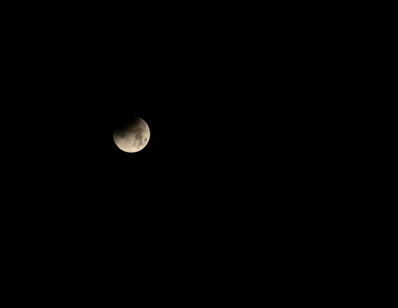 The beginning of a total lunar eclipse seen before sunrise on March 3, 2026 in Panama City, Florida.