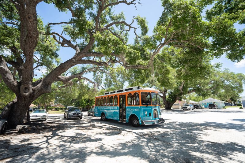 Two grand trees shown here will be preserved after the Sarasota Planning Board approved the access plan for the 1899 Fruitville Road multifamily complex.