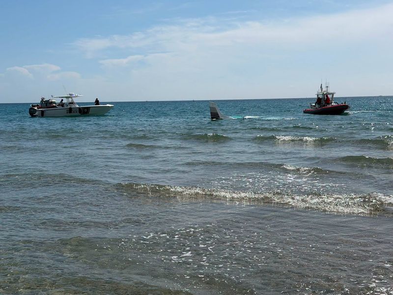 The Federal Aviation Administration is leading an investigation after a small-engine plane crashed into the Atlantic Ocean Saturday, Aug. 22, 2026.