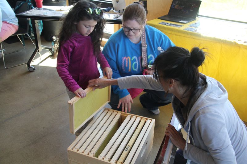 Families learn about beekeeping from Julia McGuire during The Brenton Arboretum's Earth Day Celebration on Sunday, April 21, 2024, near Dallas Center.
