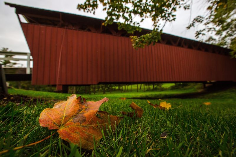 The Cutler-Donahoe Covered Bridge, photographed Oct. 5, 2015.
