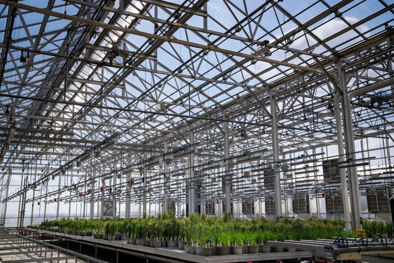 A Corteva greenhouse at the company's Johnston faciltieis.