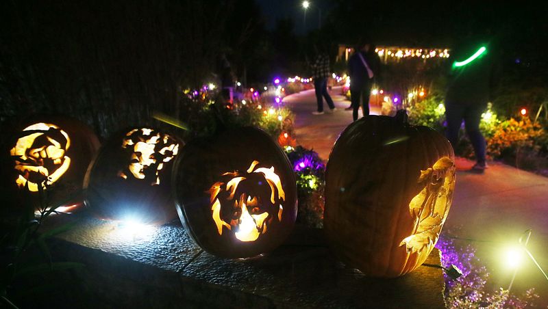 A few of the 1,000 hand-carved jack-o'-lanterns are seen during the Spirits in the Garden event Sunday, Oct. 13 at Reiman Gardens in Ames, Iowa.