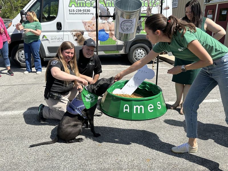 Good Boy, a dog that was rescued by the Ames Animal Shelter in February with a gunshot wound, joins the fundraising kick-off for the new shelter. Taken May 9, 2025.