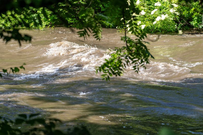 Overnight storms bring high water levels to Walnut Creek on June 25, 2025, in Clive.