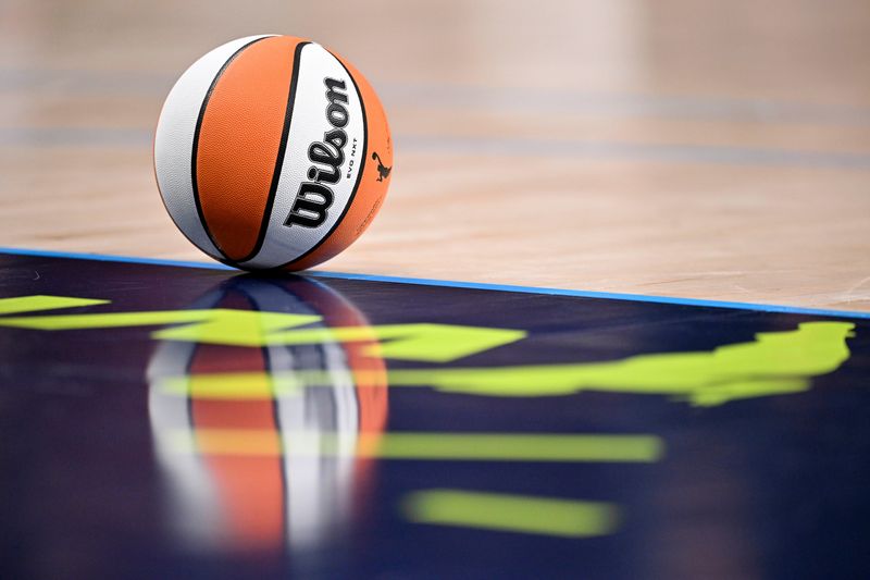 Jun 27, 2025; Dallas, Texas, USA; A view of a Wilson basketball and the Dallas Wings logo during the game between the Wings and the Indiana Fever at the American Airlines Center. Mandatory Credit: Jerome Miron-Imagn Images