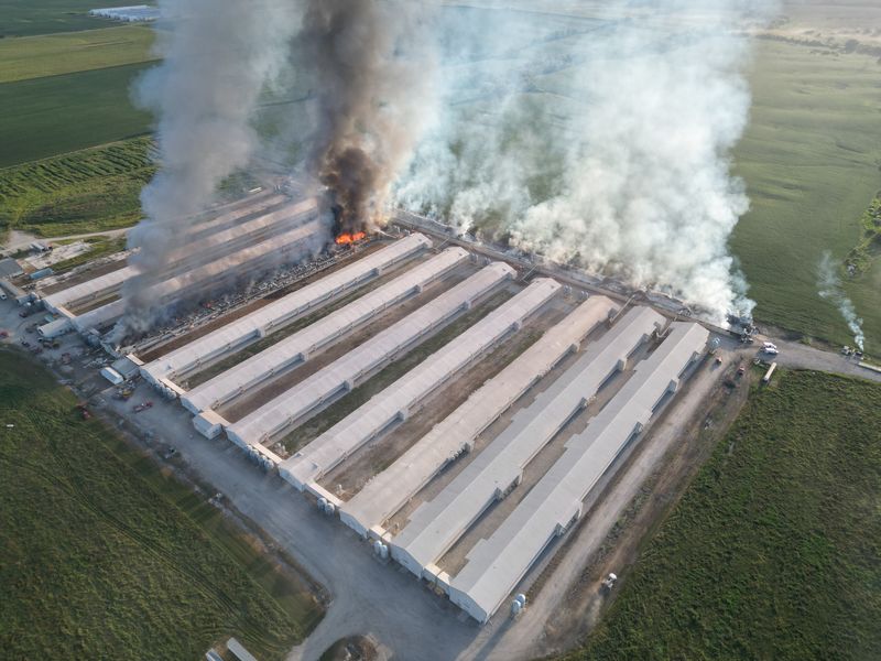 Smoke billows from burning barns at Daybreak Foods’ chicken farm near Clearfield, Iowa, on Aug. 26, 2025.