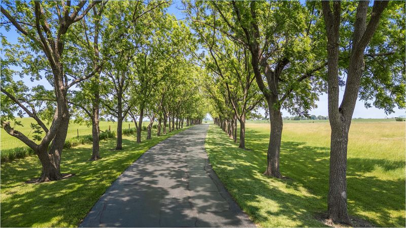 Paved driveway leading to home for sale at 12270 NW 146th Ave, Madrid.