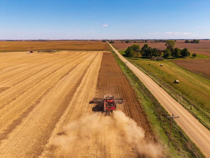 An Iowa farmer harvests soybeans near Rippey.