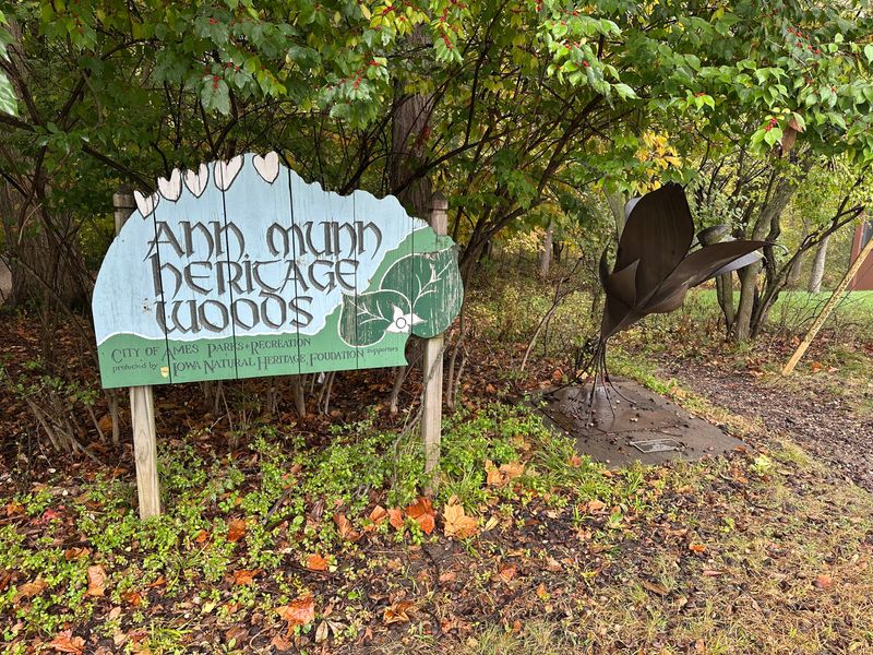 The Ames City Council voted on Oct. 14, 2025 to allow deer hunting in Munn Woods.