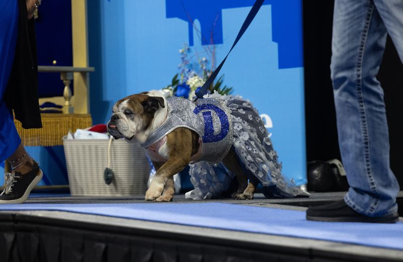 Flora charmed the judges when she strutted across the stage in her blue glittery dress at Drake's Beautiful Bulldog Contest on April 19, 2026.