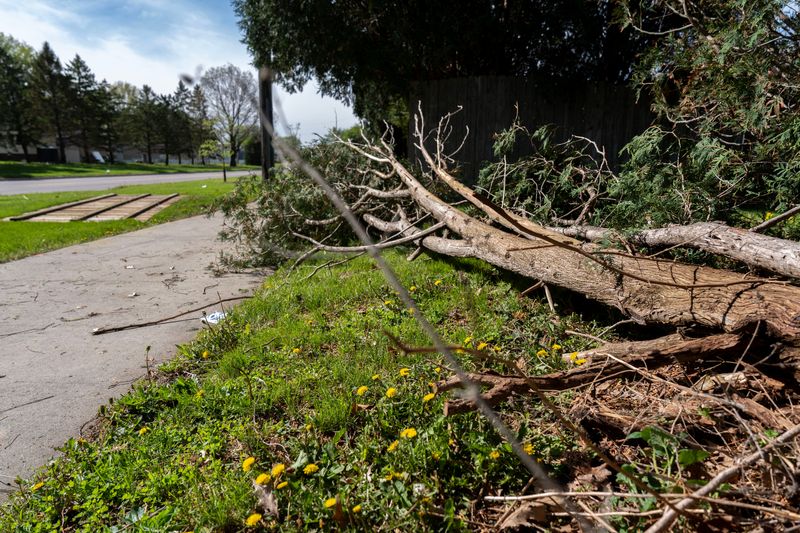 Downed tree limbs and fencing are pictured near Scott Boulevard April 24, 2026 after an evening storm in Iowa City, Iowa.