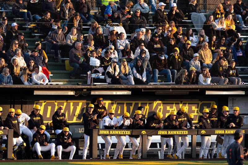 The Iowa Hawkeyes baseball team watches the action on field during a game against the Illinois Fighting Illini May 1, 2026 during a Big Ten baseball game at Duane Banks Field in Iowa City, Iowa.