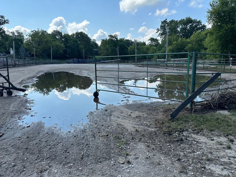 Heavy rainfall from July 2 to July 4 caused flooding at the Story County Fairgrounds, pictured on July 6, 2026, in Nevada Iowa.