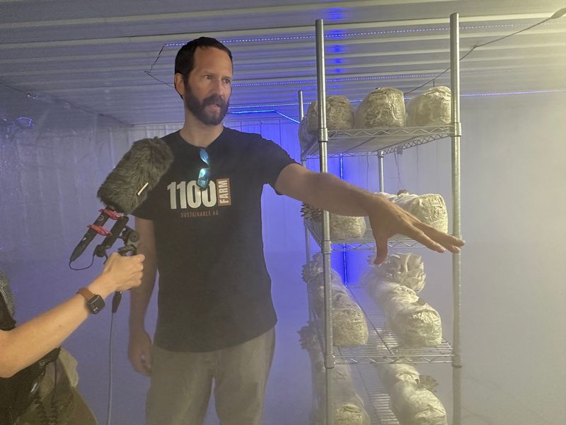 Tyler Faaborg gives a tour of 1100 Farm's mushroom facility, pictured Aug. 8, 2026.