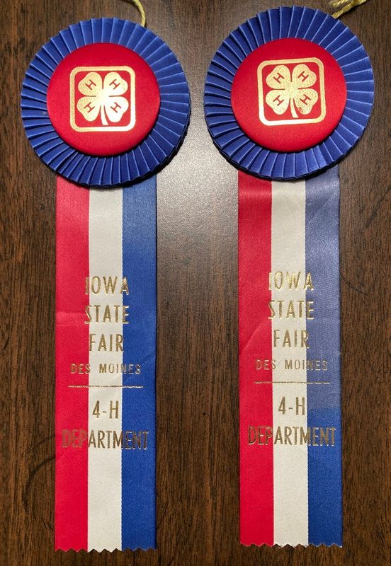 All 4-H projects at the 1996 Iowa State Fair received tricolor participation ribbons instead of being judged for blue, red, and white awards. The outcry against them was so strong they only lasted one year. Jeff Morrison received these ribbons for 4-H projects in the Self-Determined and Computer categories.