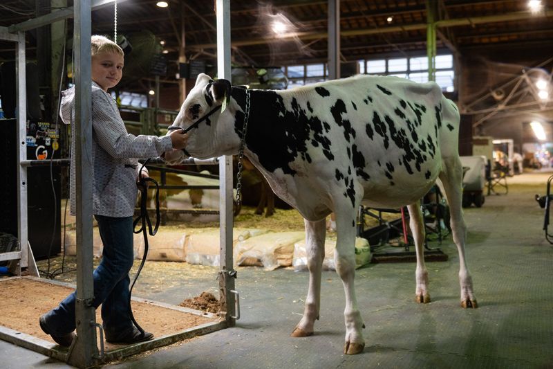 Parker Cline, 10, poses for a portrait with his cow at the Cattle Barn at the Iowa State Fair on Aug. 13, 2026, in Des Moines.