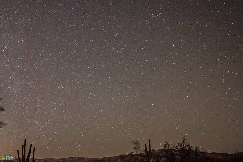 Orionid meteors from 2014 at Saguaro National Park East in Tucson.