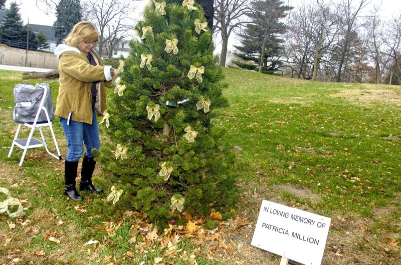 Jeanne Martin of Pekin hangs decorations on a tree in memory of her mother, Patricia Million, in Mineral Springs Park through the Winter Wonderland festival. More than 300 lit trees are available for sponsorship, but only certain ones may be decorated individually. Martin said she?s decorated a tree in her mother?s memory since 1993.