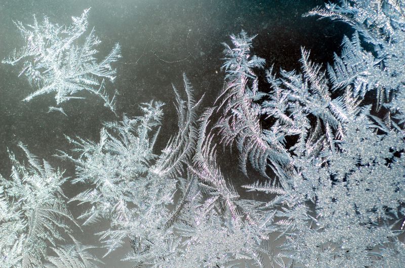 An intricate pattern of frost covers a window pane in a Peoria home.