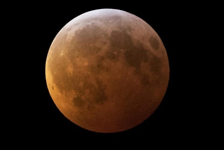 The moon during a total lunar eclipse, seen from West Palm Beach, Florida, on Monday, January 21, 2019: The eclipse or blood moon, turns red from sunlight scattering off Earth's atmosphere.