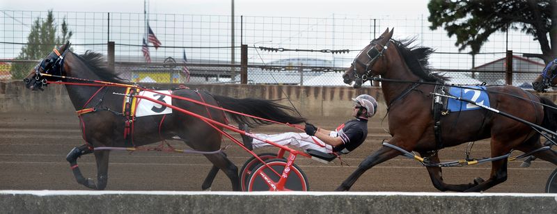 Harness races take to the track at the Illinois State Fair on Wednesday, Aug. 14, 2024, in Springfield.