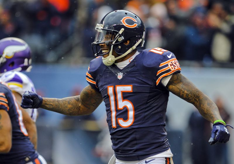 Nov 16, 2014; Chicago, IL, USA; Chicago Bears wide receiver Brandon Marshall (15) celebrates his touchdown against the Minnesota Vikings at Soldier Field. Mandatory Credit: Matt Marton-USA TODAY Sports