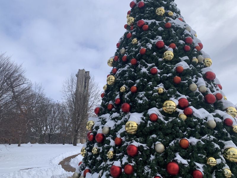The Thomas Rees Memorial Carillon sits in the background of the Washington Park Botanical Gardens holiday display on Monday, Jan. 6, 2025, in Springfield.