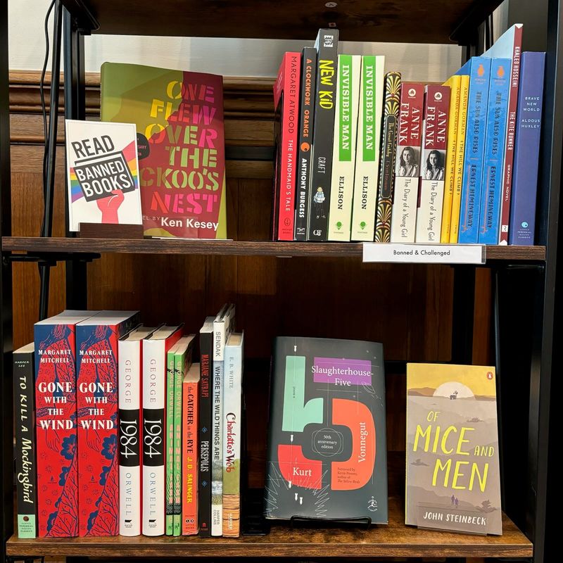 Alcott's Attic in Detroit, Michigan is a "novel model" bookstore, part of an initiative to build a more equitable book industry.