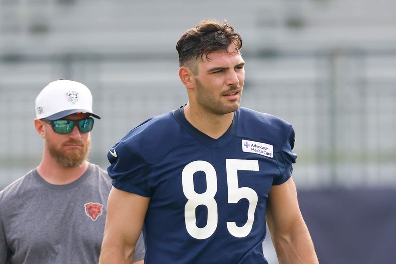 Jul 24, 2025; Lake Forest, IL, USA; Chicago Bears tight end Cole Kmet (85) looks on during training camp at Halas Hall. Mandatory Credit: Kamil Krzaczynski-Imagn Images