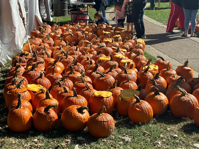 Carve for the Carillon will be held at the Thomas Rees Memorial Carillon in Washington Park on Oct. 11-12, 2025.