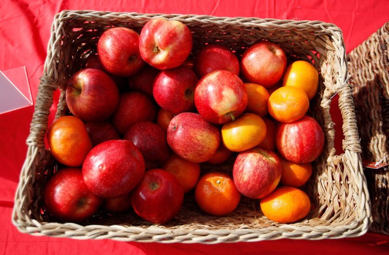 It goes: “a few bad apples will spoil the whole bunch.” As true as it is of apples, it’s true of public officials, writes Maggie Watson of Rockford.