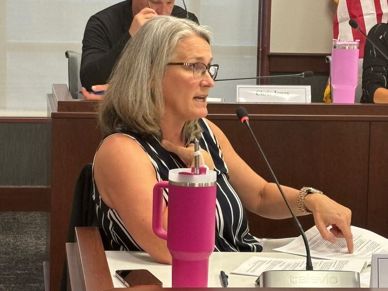 Dr. Kari Wolf, chair of psychiatry at the SIU School of Medicine a commissioner with the Sangamon County Mental Health Commission, makes a point at the Oct. 1, 2025, meeting. The commission recommended to the Sangamon County Board a 0.5% sales tax increase to help fund a countywide mental health board.